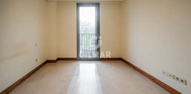 acp galery