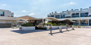 acp galery