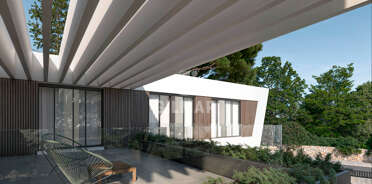 acp galery