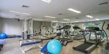 acp galery