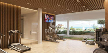 acp galery