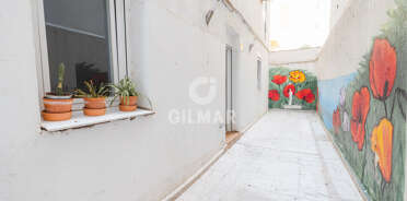 acp galery