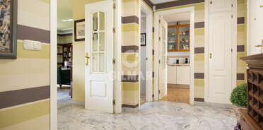 acp galery