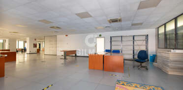 acp galery