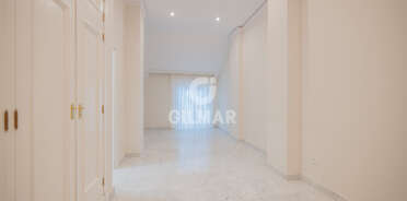acp galery