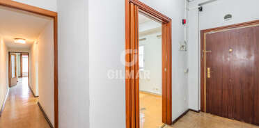 acp galery