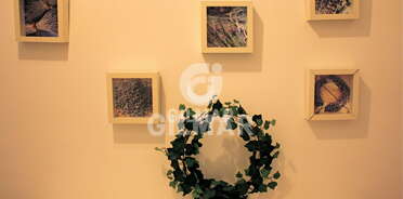 acp galery