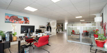 acp galery