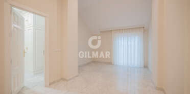 acp galery
