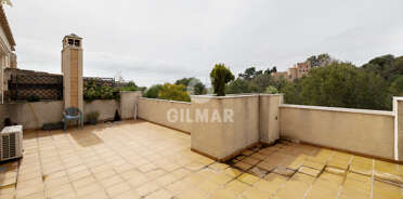 acp galery