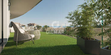 acp galery