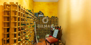 acp galery