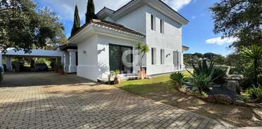 acp galery