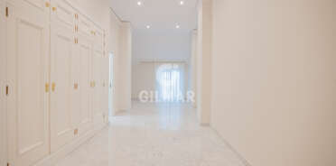 acp galery