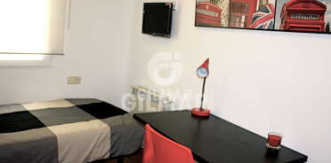 acp galery