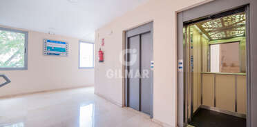 acp galery