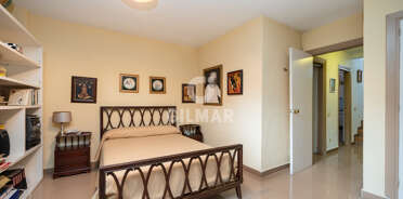 acp galery