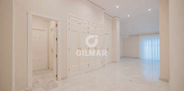 acp galery