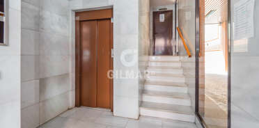 acp galery