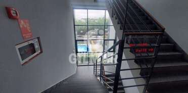 acp galery