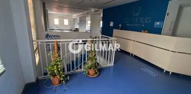 acp galery