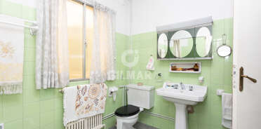 acp galery
