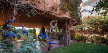 acp galery