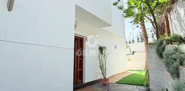 acp galery