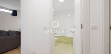 acp galery