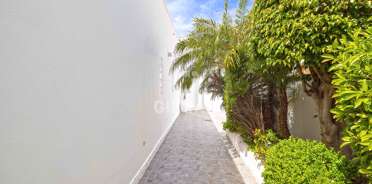 acp galery