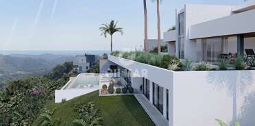 acp galery