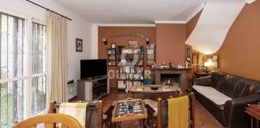 acp galery