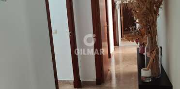 acp galery