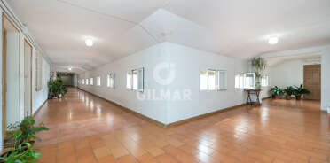 acp galery