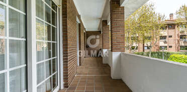 acp galery