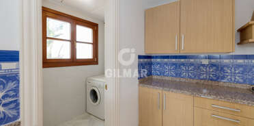 acp galery