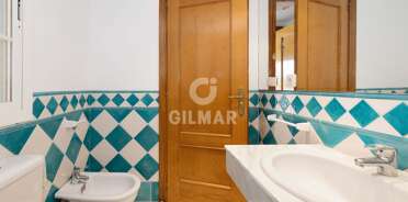 acp galery