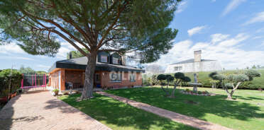 acp galery