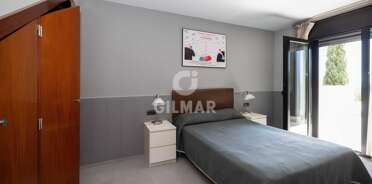 acp galery