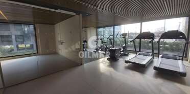 acp galery