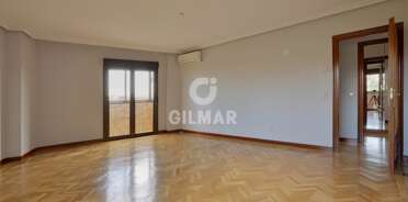 acp galery