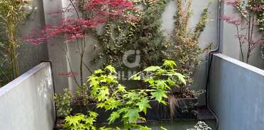 acp galery