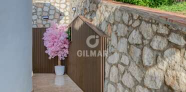 acp galery