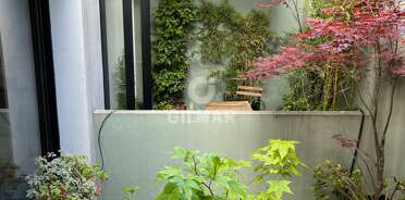 acp galery