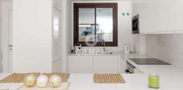 acp galery