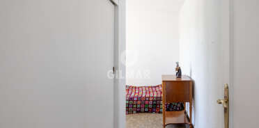 acp galery