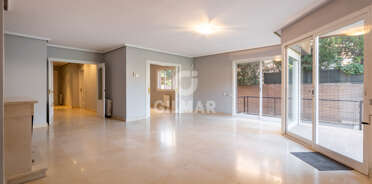acp galery