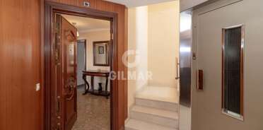 acp galery