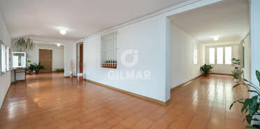 acp galery