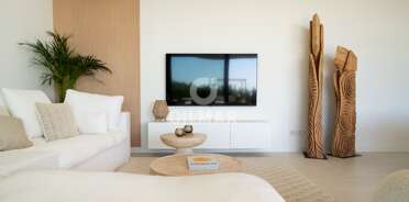 acp galery